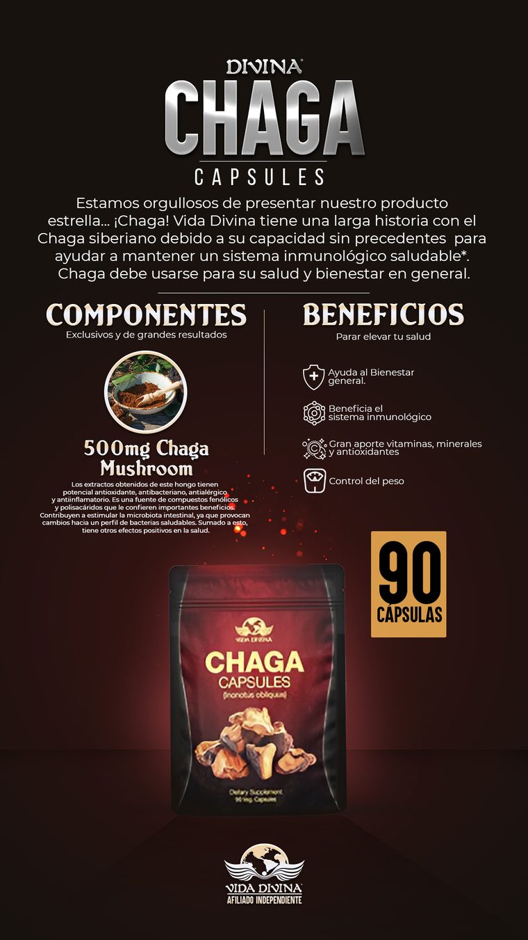 Chaga Cápsulas